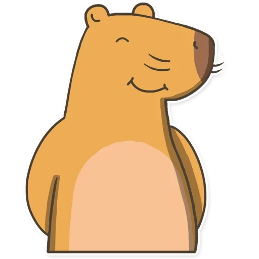 ours, capybara, capibara art, ours de dessin animé, dessin animé de capybara