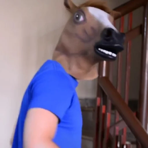 horse, horse mask, horse's head, horse mask, horsehead mask