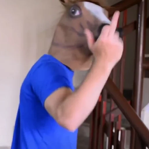 horse, horse mask, horse mask, horse's head, horsehead mask
