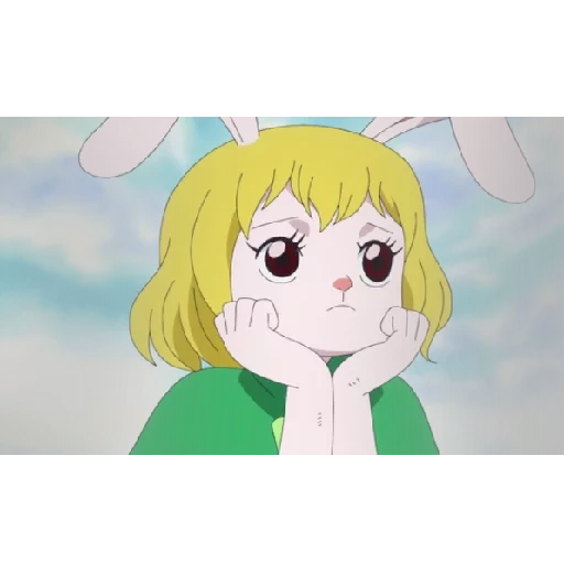 animation, lovely cartoon, anime picture, cartoon characters, one piece carrot