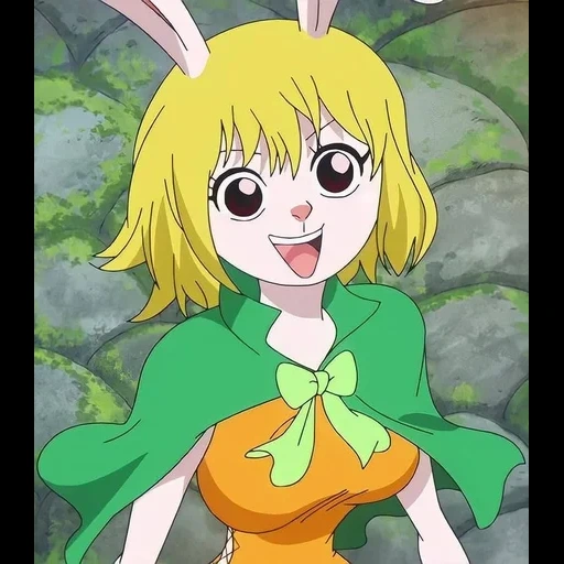 animação estrangeira, animação fofa, menina anime, coelho van pis, personagem de anime
