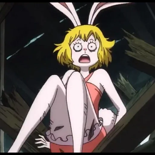 van pis 851, carrot van pis, anime one piece, anime characters, one piece carrot