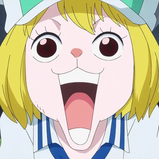 аниме большие, аниме рисунки, one piece anime, персонажи аниме, one piece carrot