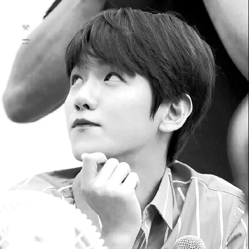 anatomy, indonésie, baekhyun exo, backchen fansain 2019, baekhyun nature republic