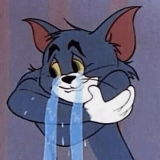 tom jerry, sad vol, tom tom jerry, tom jerry cat, triste tom jerry