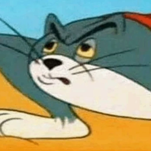 tom, gatto, tom jerry, cat tom jerry, tom jerry mem