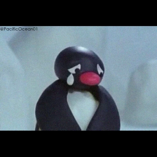 pingu, penguin, pingu crying, злой пингвин, пингвин смешной