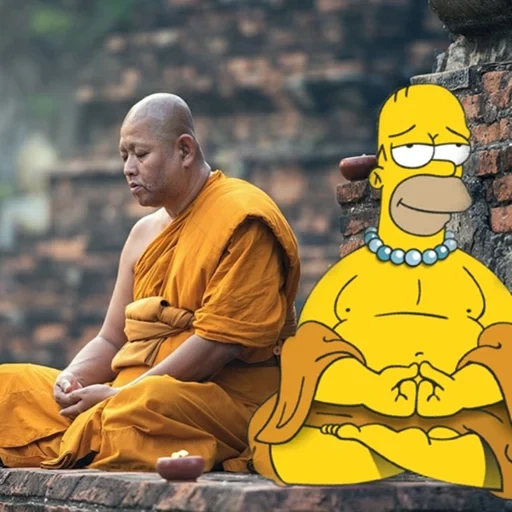 бай мэй монах, buddhist monk, буддизм монахи, буддийский монах, buddhist meditation