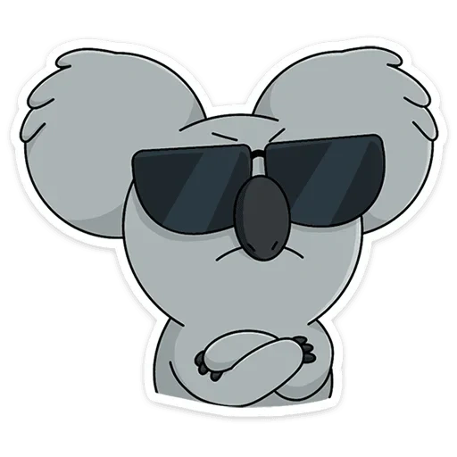 untuk, cartoon network, kebenaran lengkap beruang koala