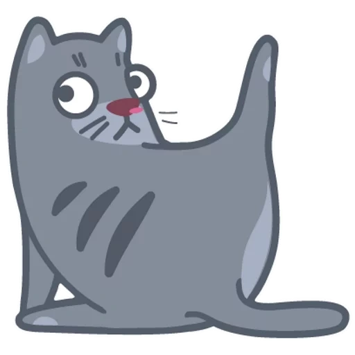 gatto, gatto, le foche di iconca, animazione del gatto grigio