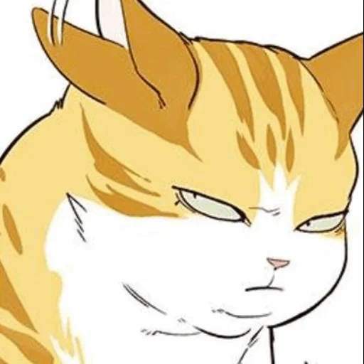 kucing, kucing, anime bellash, cayden elliside, anime cat man