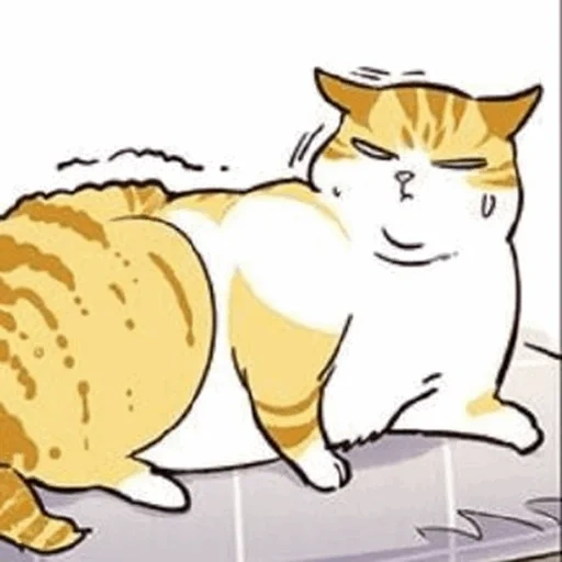 gato, gato, manga de gato, elisad cat, gato gordo