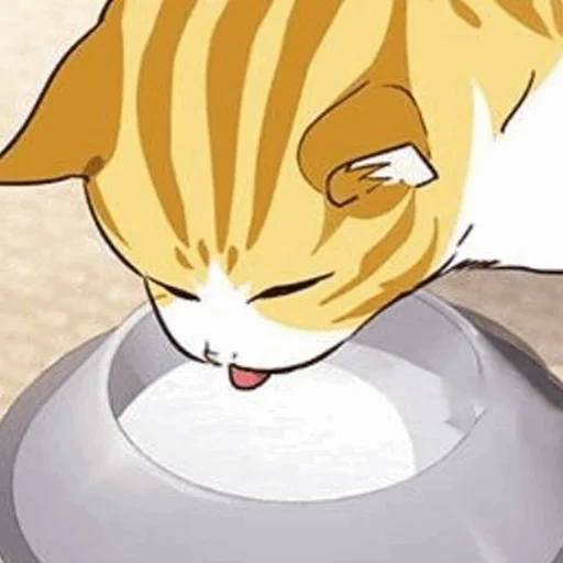 gatto, cartoon di cartoon, arte felina, elised manhwa, arte del gatto diarrea