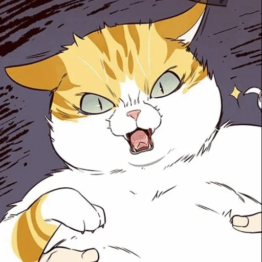 gatto, gatto, le foche, anime del gatto, gatto a fumetti