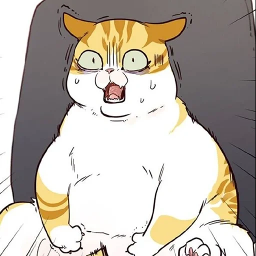 cat, anime cat, manga cat, fat cat, kayden elisad