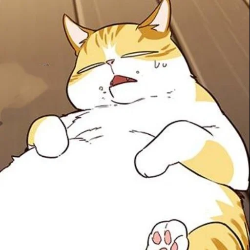 gato, gato, gato de anime, manga de gato, gato gordo