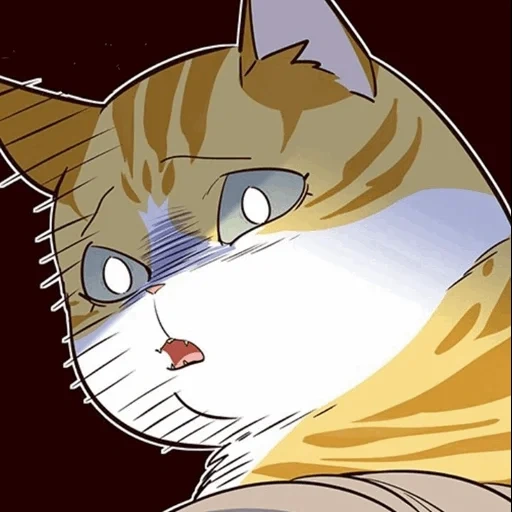 cat, cat, anime cat, cat manga, anime kotyar is man