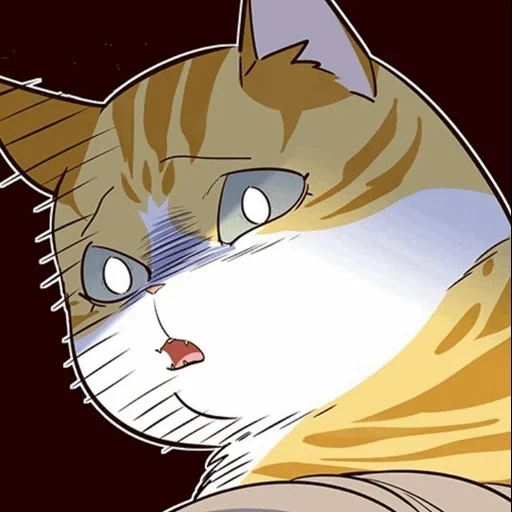 gatto, gatto, anime del gatto, gatto a fumetti, anime gatto man