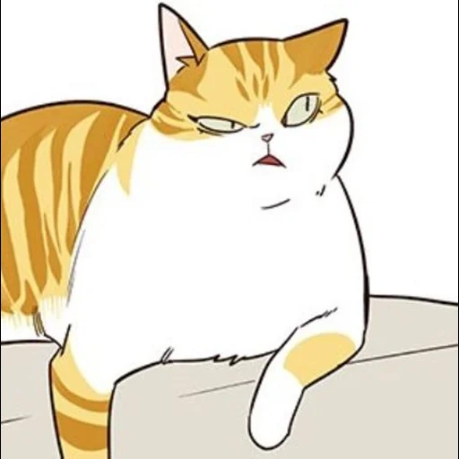 kucing, kucing, anak kucing, anime kucing, alice cat