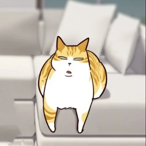 gato, gato, elisad cat, cat elisad, anime belyash
