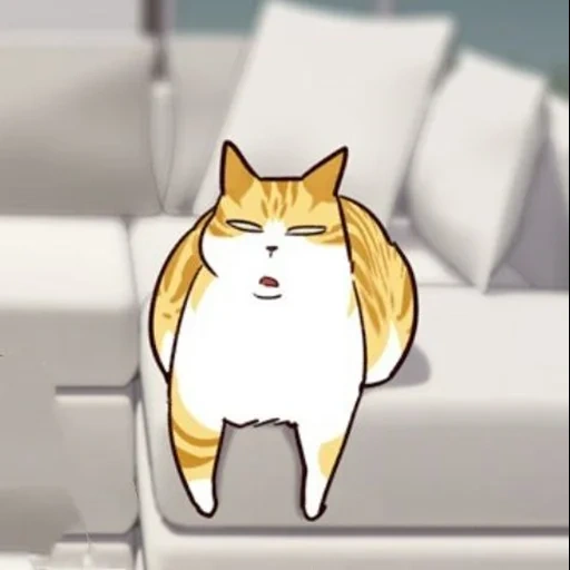 chat, chat, chat elisad, cat elisad, anime de bellyash