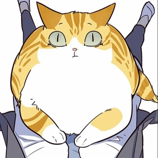 кошка, anime cat, егор летов, толстый кот, кайден элисед