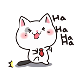 cat, gato feliz, gato de cerámica de arroz