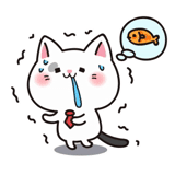 mochi, katiki kavai, kucing kawaii, gambar kucing lucu, kucing kawaii yang cantik