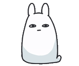gato, engraçado, anonimato, dragon branco, coelho sorridente anime