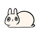 bunny, coniglio, caro coniglio, contorno di coniglio, colorare conigli kawaii