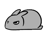 lepre, coniglio, bunny, disegno di coniglio