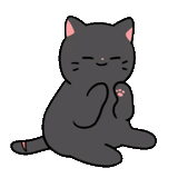 cat, кот, подвижные, black cat, серый котик