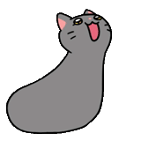 seal, laska animal, seal clipart, cartoon seals, sad sea cat illustration