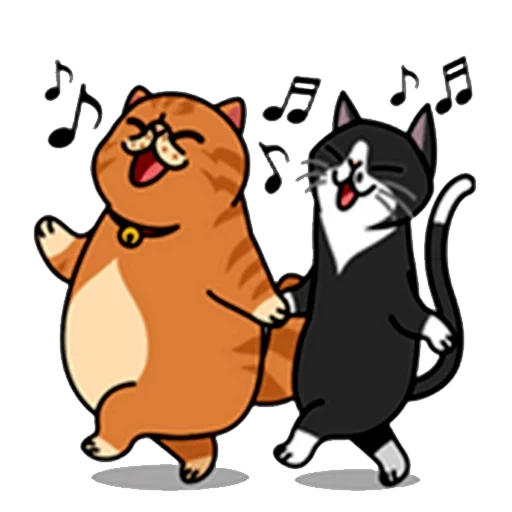 cat, funny cat, dancing cat, funny cat, funny seal