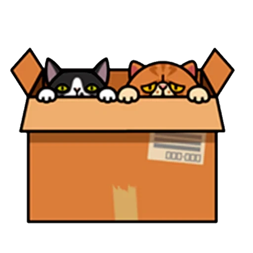 die katze, cat, lustige katze, die katze pushin boxke, das katzenkastenlogo