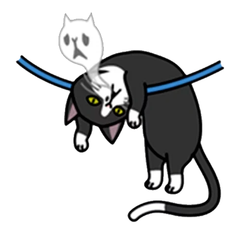 die katze, cat black, die katze mit dem schnurrbart, die katze die katze die katze, katzen sind lächerlich
