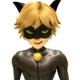 Cat Noir -  Miraculous : @Characters_stickers