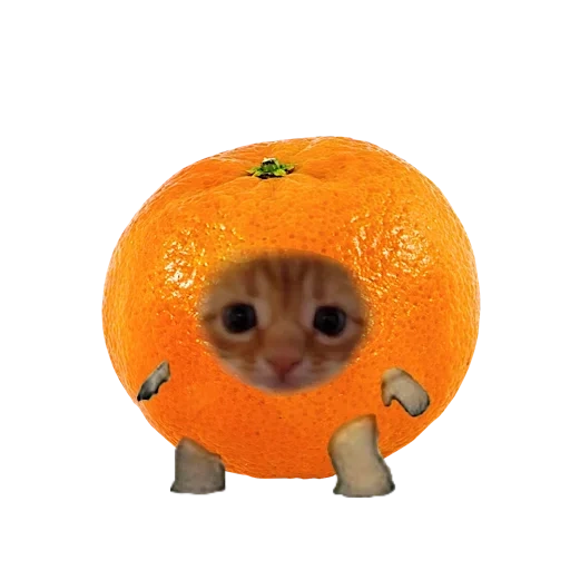 emoticon di emoticon, alessandro dell'acqua, frutta e verdura di foca, frutta felina frutta felina