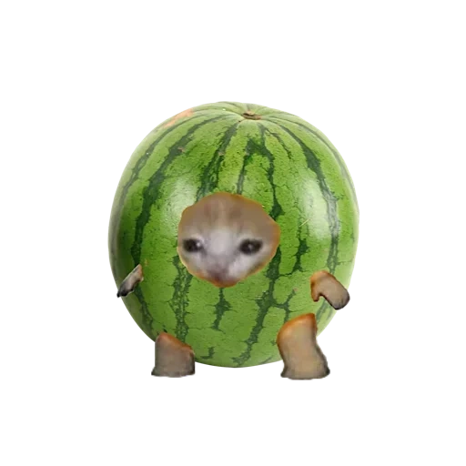 streamer tube, twitch.tv, watermelon cat, yegor letov