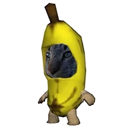 project, cat banana, cat banana meme, cat banana set banana, cat set banana meme