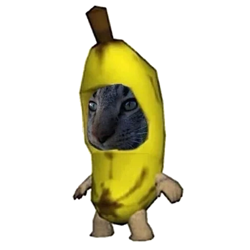 itens, banana de gato, o gato é um meme de banana, banana banana banana, figurino de peixe gato meme de banana