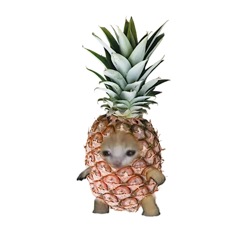 pineapple, pineapple juice, pineapple has no background color, feline vegetables and feline fruits
