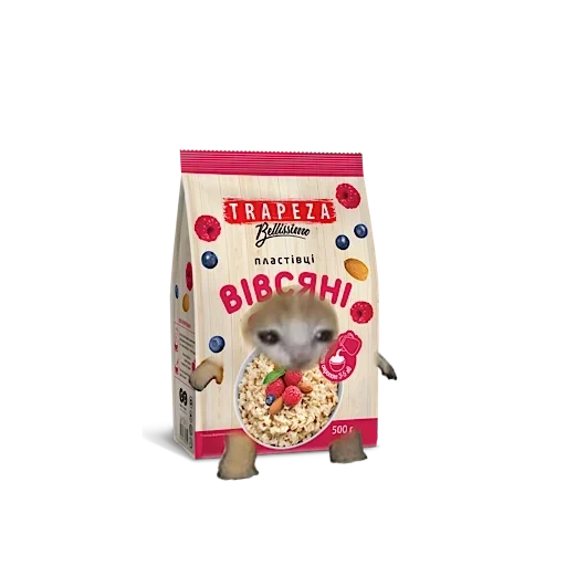 aliments pour hérisson, degu dagana country mix feed, da jana exclusive fourrage séché pour hérisson, alimentation pour rats rats mixtes nationaux dajana, alimentation pour hamster nain petit taille 1 400 g