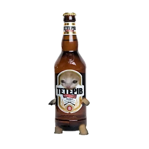 bière, bière, bière légère, bière de tétras, bière de tétras 8