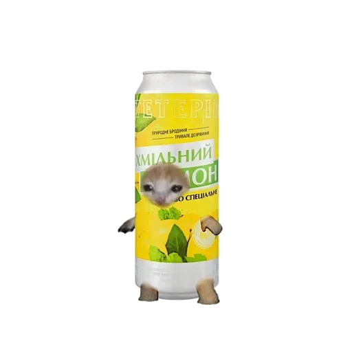 jus de fruits multiples 1l, boisson mojito aux fruits, boisson fruits pommes 1.5 l, des jus de fruits pommes, campbell vitamines biotine de gibier 425 g