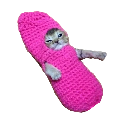 cat, seal, cat pink socks, a charming kitten, cute kitten set