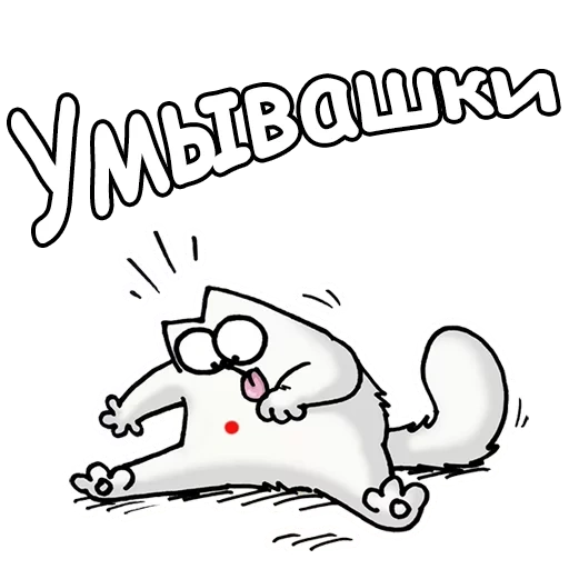 cat, cat simon, simon's cat, cat is simon inscriptions