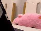 porcos, porco rosa, brinquedo de porco, porco rosa, porco de brinquedo macio grande