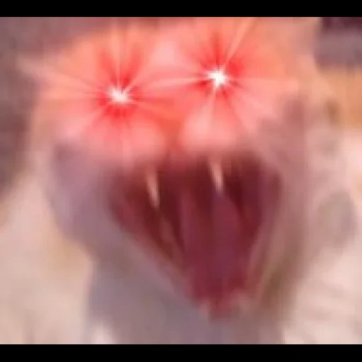 кот, hispachan, war thunder, meme generator, орущий кот красными глазами