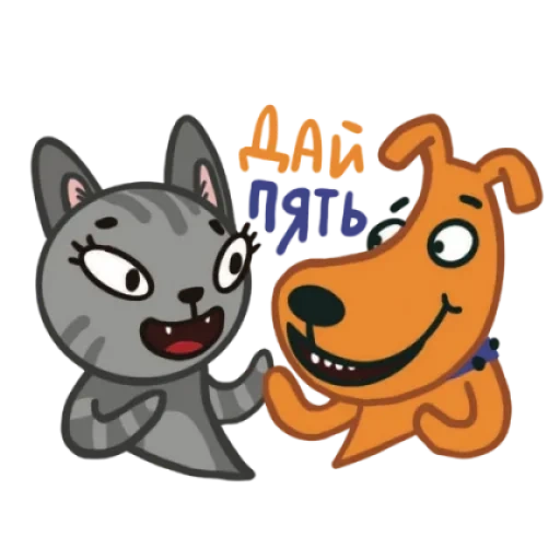 gato, toca aqui, spotti persik